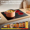 vitroceramica induccion