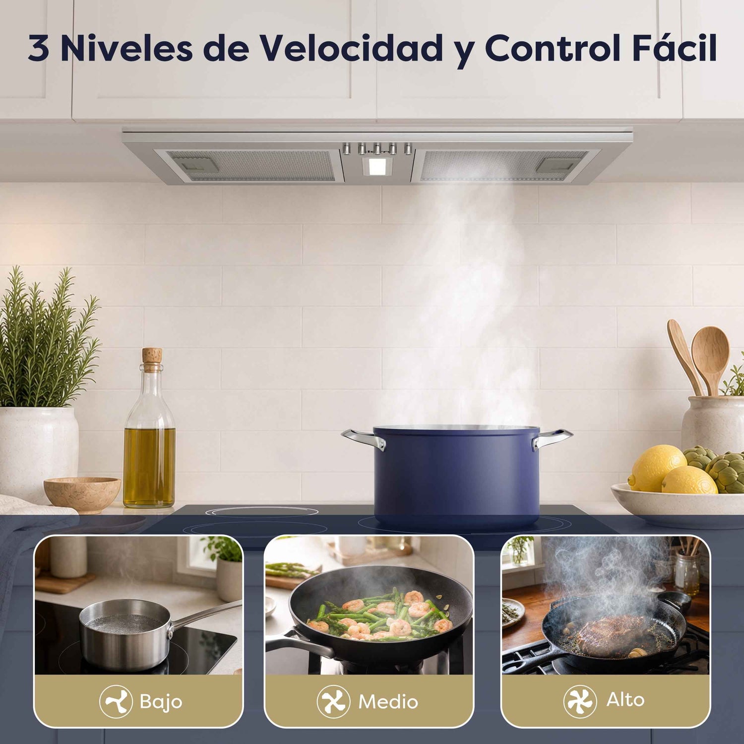 CIARRA Campana Extractora Integrada de 52 cm Acero Inoxidable A++ CBCS5937A-OW
